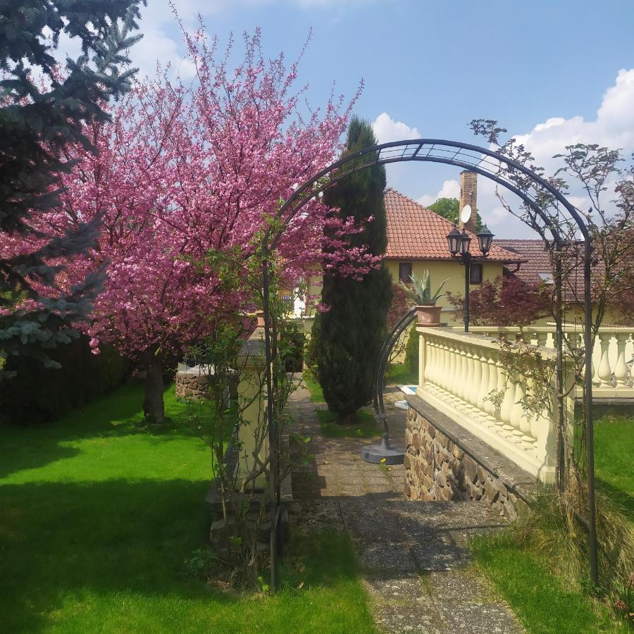 Hotel Penzion a Restaurace Nad Hradem Křivoklát Exterior foto